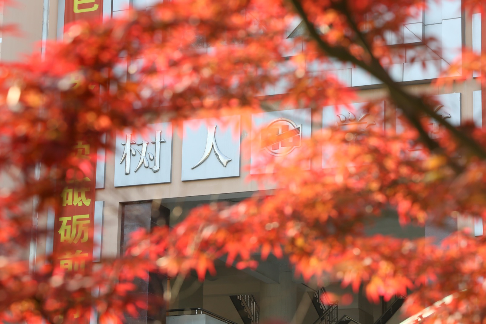 上海市七宝中学校园图像